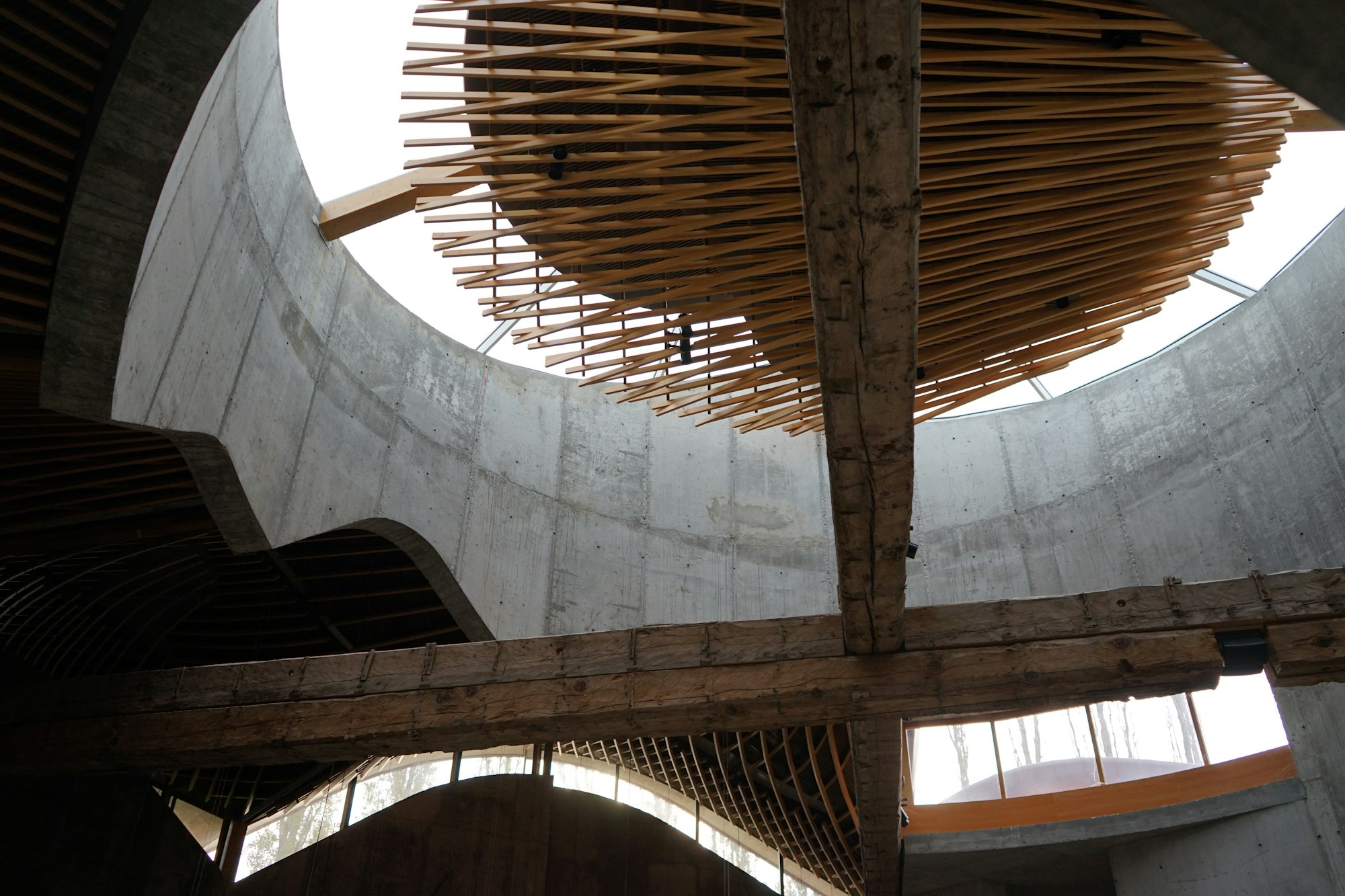 Interior detail combining curved concrete walls, timber and natural light